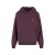 hoodieadultpurple.png